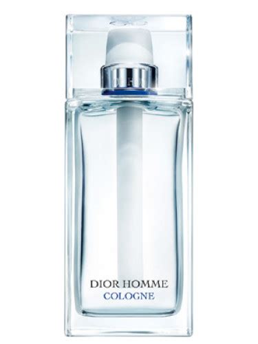 Dior Homme Cologne 2013 di Dior da uomo 